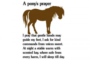 ... decal-Pony sticker-Horse quote wall decor-28 X 40 inch Pony prayer
