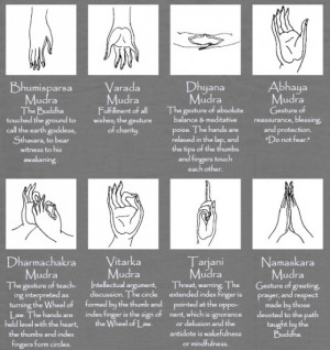 asanas and their meaning | The Mudras or hand Gestures of the Buddha ...