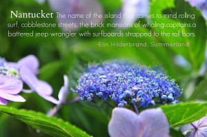 Elin Hilderbrand has written many books with Nantucket as the setting ...