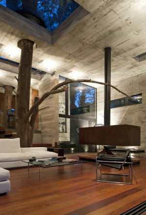 25 Amazing Houses With Indoor Growing Tree