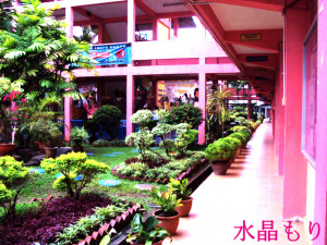 Get Them Back In Love