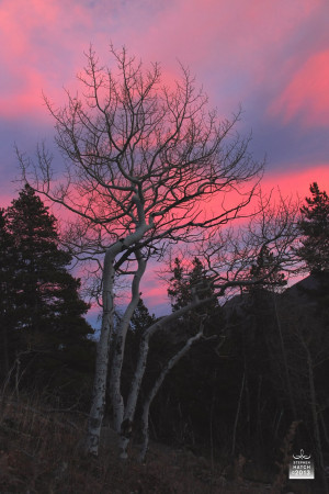 Rocky Mountain National Park is the temple where I worship.