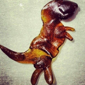 Dabasouras dabs wax oil: Oil Dino, Wax Dab, Bho Dablif, Dabasaurus Rex ...