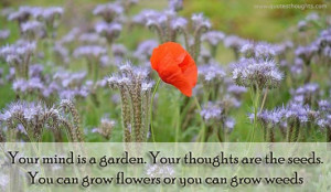 Nice Quotes-Thoughts-Your mind is a Garden