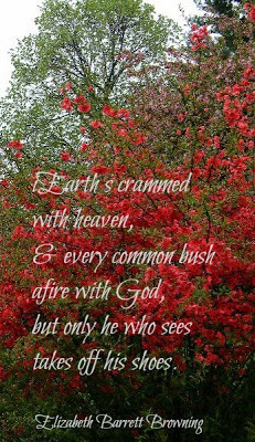 Fall into Reading Read-a-thon - Poetry Day 23.9.13