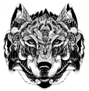 Drawing Detailed Feather