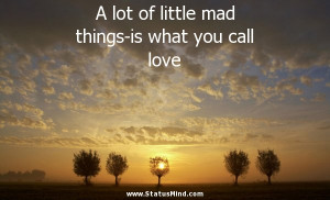 Lot Little Mad Things What...