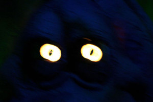 Frankenstein: The Book