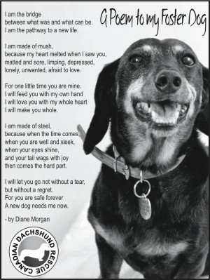 very touching poem written from the perspective of a foster mom to her ...