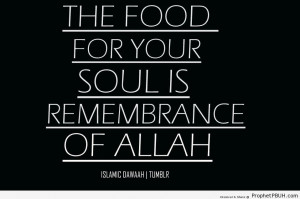 How to Feed the Soul - Islamic Quotes About Dhikr (Remembrance of ...