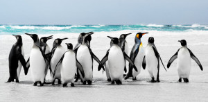 ... Building Quotes|Team Building for Work Quotes|Build Quote|Teamwork