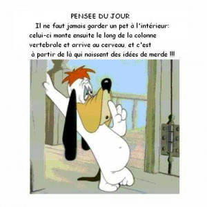 pensée du jour dans humour 98jtpt9l