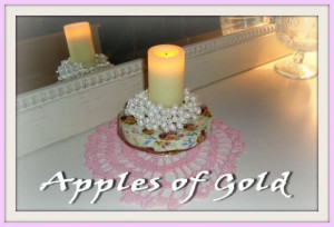 word fitly spoken is like apples of gold in pictures of silver.