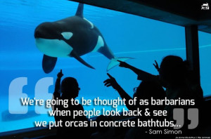 orcas in concrete bathtubs.