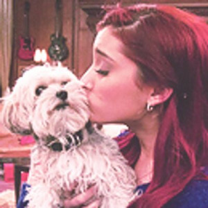 cat valentine quotes quotecat tweets 394 following 73 followers 102 ...