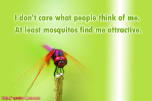 don't care what people think of me. At least mosquitos find me ...