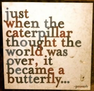 ... the world was over, it became a butterfly. Never give up hope