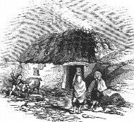 Irish during Potato Famine