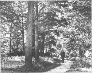 Knoch manufacturing co limited - reviewed by BBT 1 times, rated 4 out ...