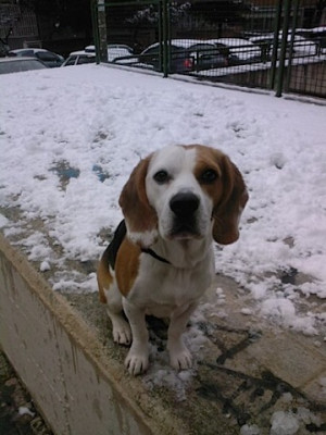 Abrazo Muy Fuerte Desde Madrid