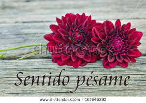 Sympathy Condolence Messages In Spanish