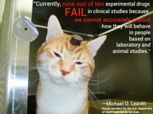 Quotes From Animal Farm Testing Abuse