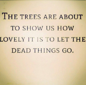 , Awesome Quotes, Wisdom, Fall Trees, Dead Things, Inspiration Quotes ...