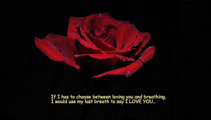 Best Love Quotes Express Your