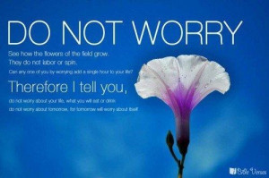 Bible Quotes About Life And Happiness Happy birthday. bible quotes