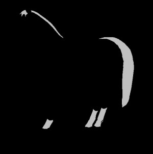 call name shadowfax full name pride of rohan gender stallion