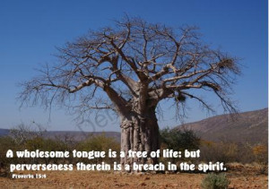 wholesome tongue is a tree of life: but perverseness therein is a ...