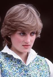 41. Call me Diana , not Princess Diana .