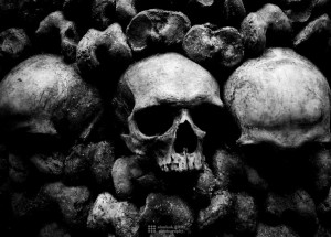 Tags: Horror , Skull