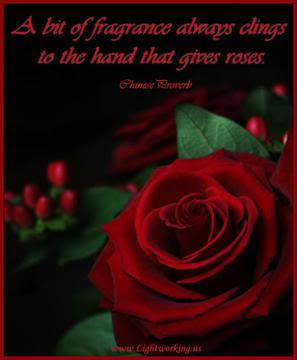 Red Rose Inspirational Quotes