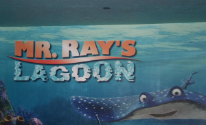 Friday, February 25, 2011