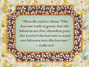 images of bible verses about harvest | Harvest; bible, field, harvest ...