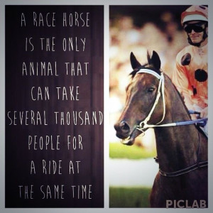 Best horse racing quote EVER!great fun in this sports.both emotional ...