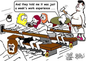 ... that the work experience program being pushed upon job seekers by the