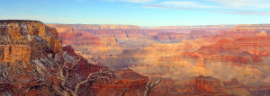 Grand Canyon Class Trips