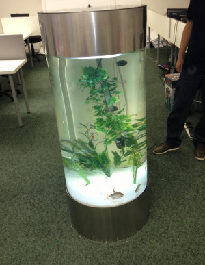 Cylinder Fish Tank