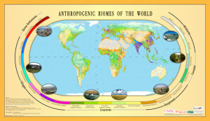 Temperate Grassland Biome World Map