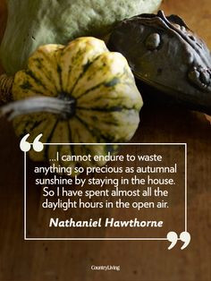 ... Quotes, Fall Autumn Thanksgiving, Autumn Harvest, 18 Quotes, Autumn