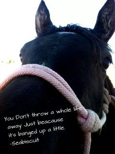 Horse rescue, you can change the whole world for one ♥ More