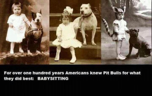 Pit Bull Dog Quotes http://www.tumblr.com/tagged/babysitters?language ...