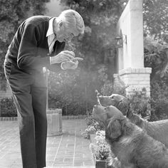 Jimmy Stewart and his dogs More