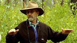 People, Places, and Quotations of Green Fire