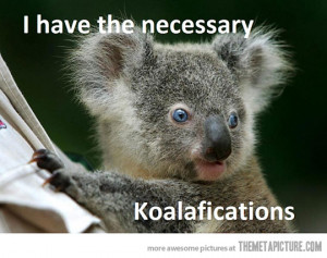 funny high guy koala meme