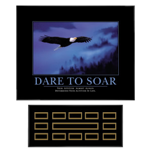 Buy Dare To Soar Recognition Award Program (739119) Perpetual (739119 ...