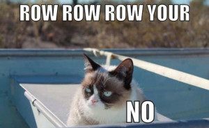 23 Of The Best GRUMPY CAT Memes…