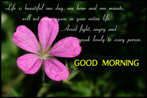 ... good-morning-quote-with-pink-flower/][img]alignnone size-full wp-image